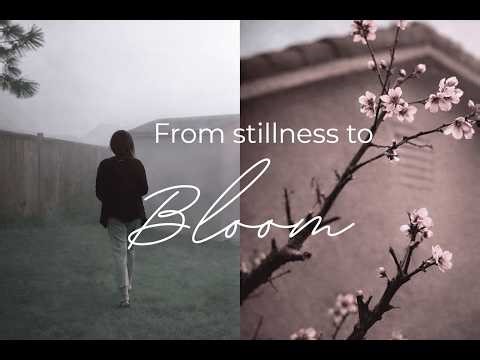 Peaceful misty Mornings and slow signs of Spring in our backyard | Slow Living