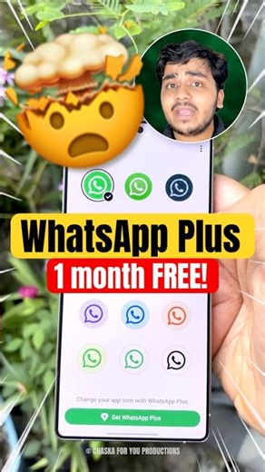 WhatsApp की New Update: More Pinned Chats & Change Icons!