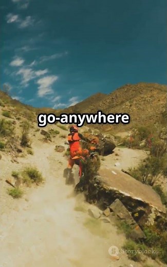 Rev The Ultimate Motorcycles Guide