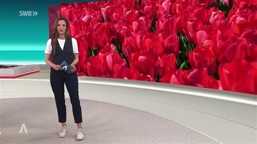 SWR Aktuell Baden-Württemberg: Sendung 19:30 Uhr vom 2.4.2026