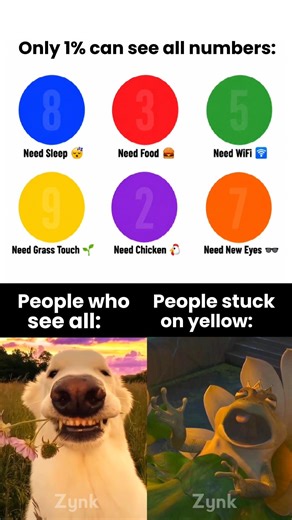 #catmeme