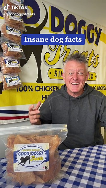 Understanding How Dogs See in the Dark