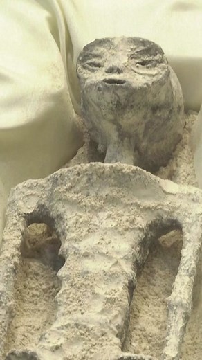 ‘Alien’ bodies with three-fingered hands are presented by UFO expert at Mexican congress #fyp #alien #mexico #congress #ufo #ufohearing #