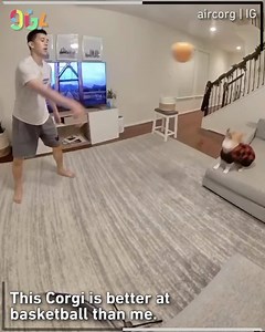 3.9M views · 48K reactions | Such a baller by aircorg | IG | 9GAG | Facebook