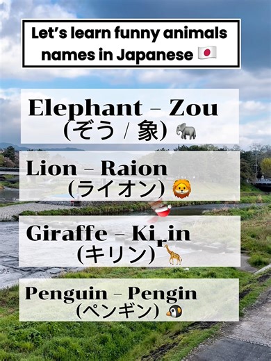 Let’s learn funny animals name in Japanese #LearnJapanese #JapaneseWords #AnimalNames