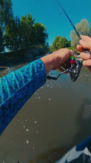 Spinning season starts❗🔥 #fpv #fish #fishing #spinning