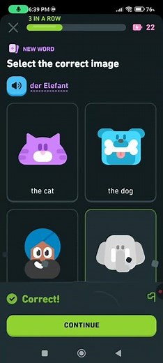 Learning German on Duolingo 🇩🇪 | Explaining the Questions Clearly📖
