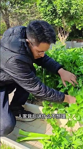 DIY Organic Vegetable Garden: Grow Fresh Veggies at Home