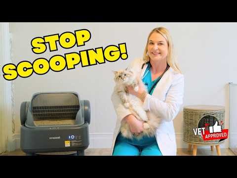 The OneIsAll Self Cleaning Litter Box Review! | Cat Health Dr. Lindsay Butzer