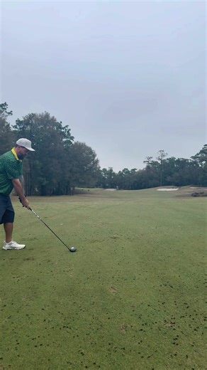 Mastering the Golf Swing in Florida