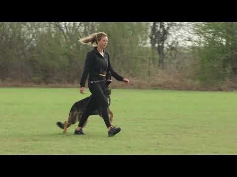 Grobi vom Sonnenkonig BH routine 