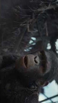 Kingdom of the Planet of the Apes (2024) – The Rise of a New Kingdom | Epic Sci-Fi Movie