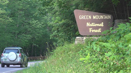 Human remains found in Green Mountain National Forest