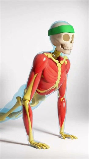 100 Push-Ups Every Day for 30 Days 🔥 (Muscle Transformation) #workout #fitness