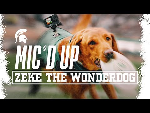 Mic'd Up: Zeke the Wonderdog