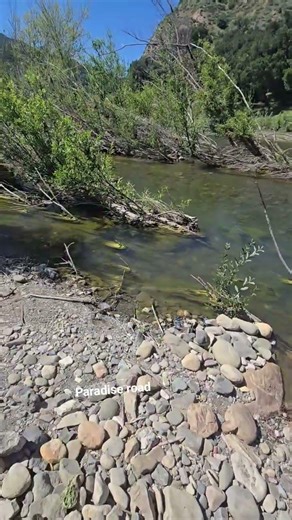 paradise road Santa Barbara California mi raza bendiciones