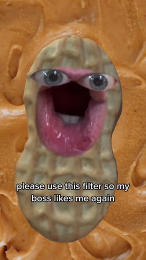 nutter butter on TikTok