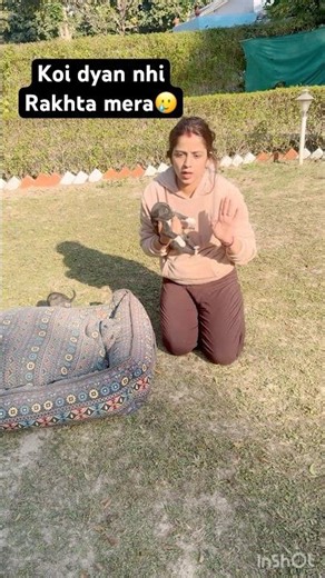 Koi dyan nhi rakhta mera😧😢#shorts #explore #beagle #funny #video #viralshort