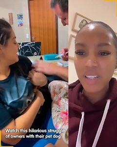 Never knew giving medicine to this pincher dog was such a big challenge! | Ariel Fitz-Patrick