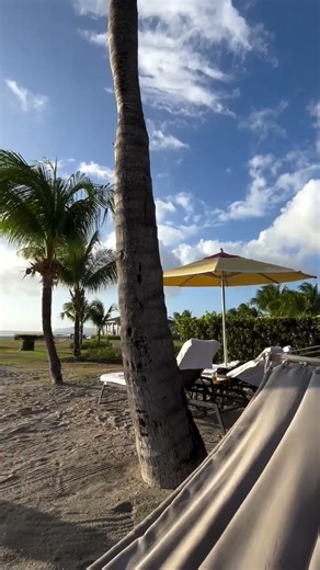 Plan the trip to St. Kitts & Nevis NOW