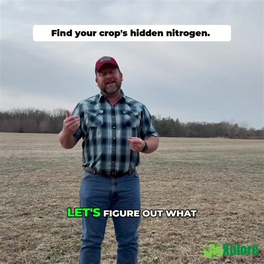 Soil Nitrate Sampling_ How Deep Tests Reveal Crop Uptake—and Guide Smarter N Plans #AgXplore #Farming #Agronomy #Nitrogen @drjtmurphy
