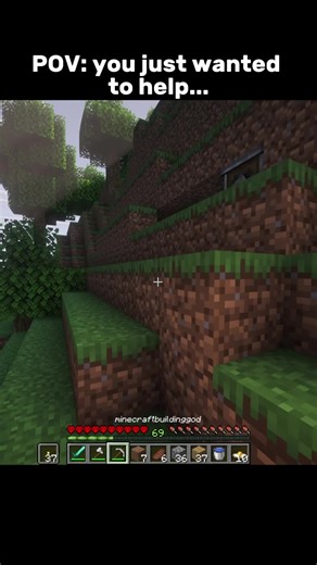 Did I Do Something Wrong in Minecraft?