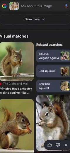 How to use Google Lens