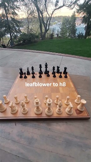 banned opening moves from the Soviet period they dont want you to know about. 'leafblower to h8'