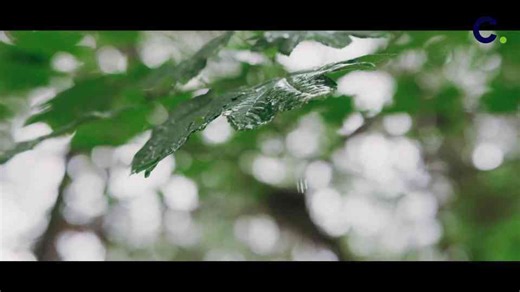 The truth about greenwashing: how companies fake being eco-friendly