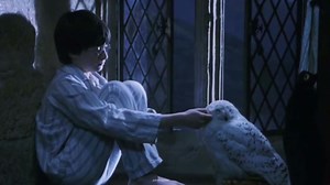 Hedwig Death Scene: Heartbreaking Reaction || Harry Potter