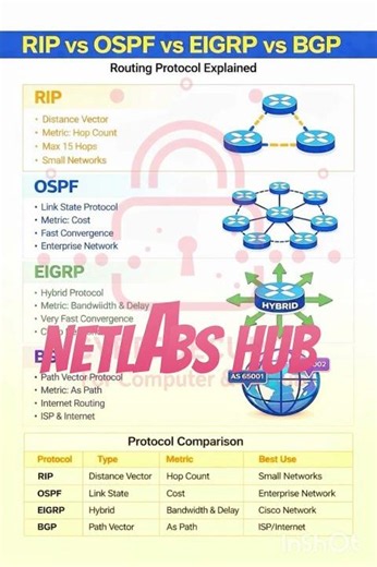 Dynamic Routing Protocols Explained in Seconds Step by Step by Netlabs Hub.