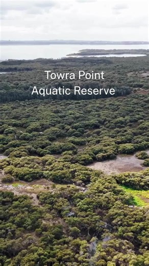 Towra Point Aquatic Reserve is one of Sydney’s most important marine sanctuaries, right on our doorstep. The fish, birds and seagrass meadows that live here depend on us to keep it healthy for generations to come. Next time you visit, take your rubbish with you... or go one better and collect a few extras. Small actions like that make a big splash 🌊 Video credit: NSW Marine Estate | Georges Riverkeeper