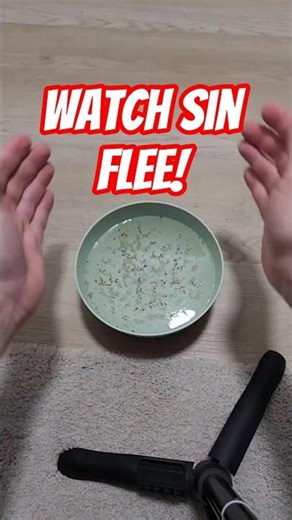 The Secret to Repelling Sin! #viralchristianshorts