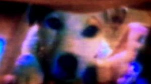 "You are the New Day" PBS Positioning Spot version 2-0