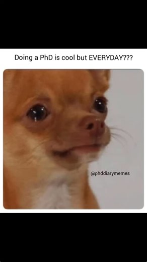 PhD memes on Instagram: "EVERYDAY??? ------------------------------------------------ Follow @phddiarymemes ------------------------------------------------- #dissertation #dissertationlife #dissertationproblems #phdmemes #phd #phddone #phdproblems #phdjourney #thesis #thesiswriting #thesisproblems #gradschool #gradstudent #journals #graduateschool #graduateschool #phdstudent #phdlife #academiclife #students #studentlife #academicwriting #academia #academiclife #professor #doctoralstudent #maste