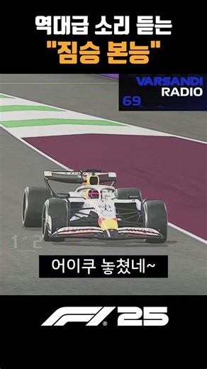 짐승같은 드라이버