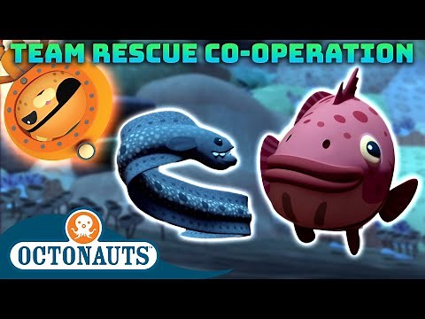 ​‪@Octonauts‬ - Team Rescue Co-operation | 60 Mins+ Compilation | Underwater Sea Education