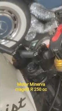 Motor Minerva megelli 250R