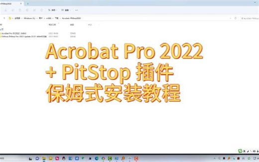 Acrobat Pro 2022 + PitStop 2022 PDF处理完美组合