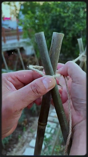 r Knot, you’re truly brilliant #viral #shorts #ytshorts