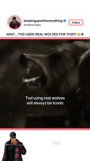 TVD Using REAL WOLVES Instead of CGI Was Actually INSANE 😭🐺🔥