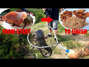 Yellow Bullhead Catfish Catch Clean & Cook (Fishing519)