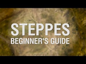 Beginner's Guide to Steppes
