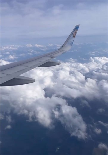 Catching flights not feelings✈️ #fyp #couplegoals #love #trending #viral