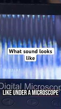 What a physical "graph" of sound looks like from an Edison #phonograph #thomasedison #sound