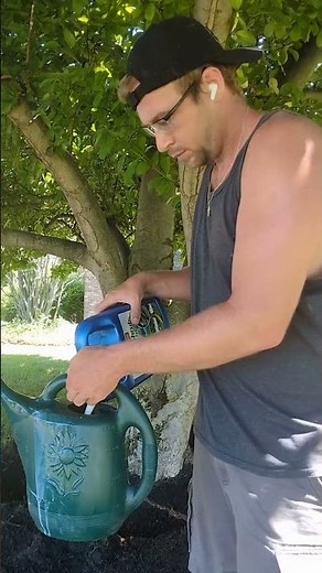 ☠️ This INSECT Is KILLING Your Tree! #treecare #shorts