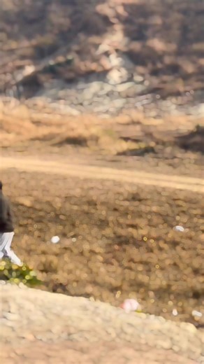 The Power of Humility in Personal Growth