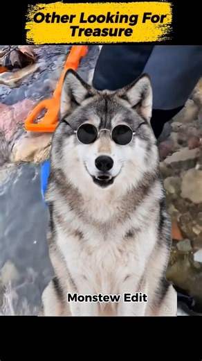 Found a HIDDEN Map, What Happened Next... 🤯