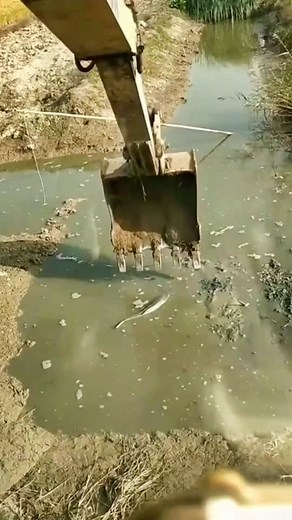 Excavator Water Scoop: Close-Up of Muddy Pond Action