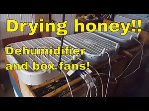 Drying honey with a dehumidifier and box fans - That Bee Man